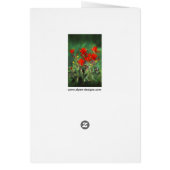 Indische Malerei mit Pinsel - Originelle Blume (Hinten)