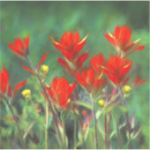 Indische Malerei mit Pinsel - Originelle Blume Aufkleber (Vorderseite)
