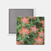 Indische Malerpinsel-Wildblumen in den vielen Magnet (Vorderseite/Rückseite)