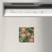 Indische Malerpinsel-Wildblumen in den vielen Magnet (In Situ (Geschirrspüler))
