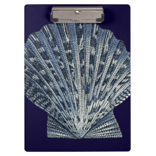 Indische Muscheln VIII Klemmbrett