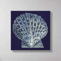 Indische Muscheln VIII