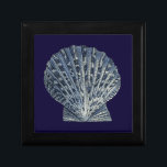 Indische Muscheln VIII Schmuckschachtel<br><div class="desc">Meeresleben</div>