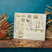 Indische Musikinstrumente, Platte 23 von "Orienta Fotoplatte (Seite)