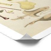 Indische Musikinstrumente, Platte 23 von "Orienta Poster (Ecke)