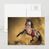 Indische Pferdepiste Postkarte (Vorne/Hinten)