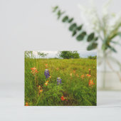 Indische Pinsel und Bluebonnets, Ennis, TX Postkarte (Stehend Vorderseite)