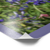 Indische Pinsel und Texas Bluebonnets Fotodruck (Ecke)