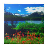 Indische Pinsel-Wildblumen Fliese (Vorderseite)