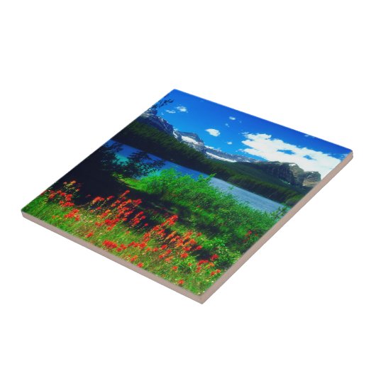 Indische Pinsel-Wildblumen Fliese (Seite)