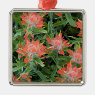 Indische Pinselblumen-Wildblumen im Many Ornament Aus Metall