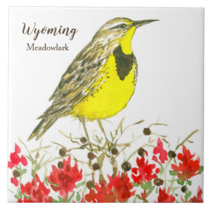 Indische Pinselstriche Blume Meadowlark Wyoming Fliese