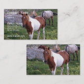 Indische Pony-Visitenkarte Visitenkarte (Vorne/Hinten)