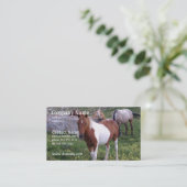 Indische Pony-Visitenkarte Visitenkarte (Stehend Vorderseite)