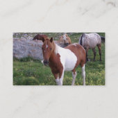 Indische Pony-Visitenkarte Visitenkarte (Rückseite)