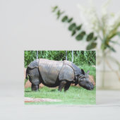 Indische Rhino4x6 Postkarte (Stehend Vorderseite)