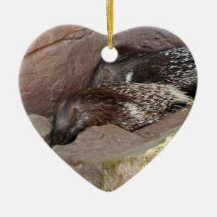 Indische Stachelschweine mit Haube Keramik Ornament