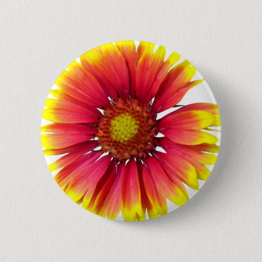 Indische umfassende Blume Button (Vorderseite)