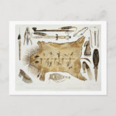 Indische Utensils und Waffen, Platte 21 aus Band 2 Postkarte (Vorderseite)