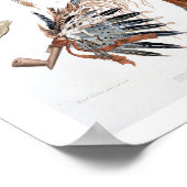 Indische Utensils und Waffen, Platte 48 aus Band 2 Poster (Ecke)