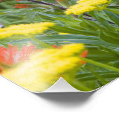 Indische Wildblumen Fotodruck (Ecke)