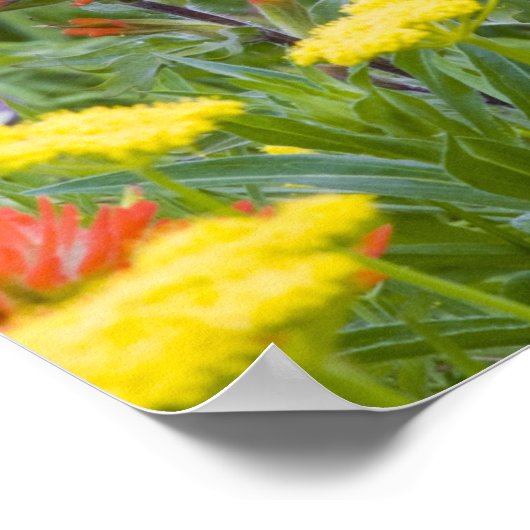 Indische Wildblumen Poster (Ecke)
