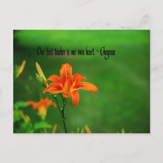 Indische Zitate Postkarte (Vorderseite)