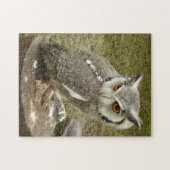 Indischer Adler Puzzle (Horizontal)