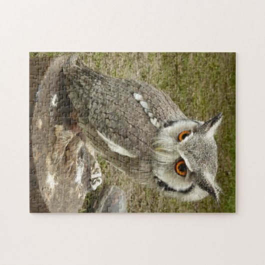 Indischer Adler Puzzle (Horizontal)