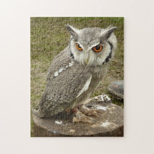 Indischer Adler Puzzle (Vertikal)