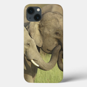Indischer Asiatischer Elefant iPhone 13 Hülle