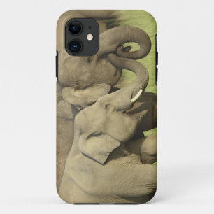 Indischer Asiatischer Elefant iPhone 11 Hülle