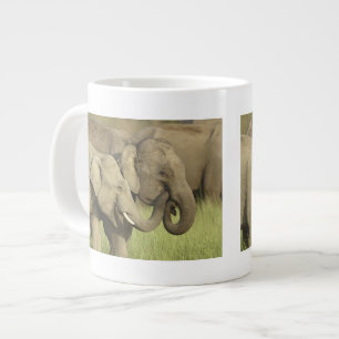 Indischer Asiatischer Elefant Jumbo-Tasse