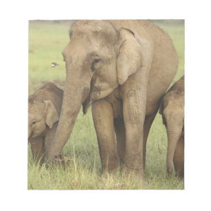 Indischer Asiatischer Elefant & Jungtiere Notizblock