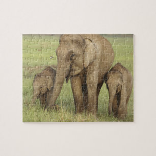 Indischer Asiatischer Elefant & Jungtiere Puzzle