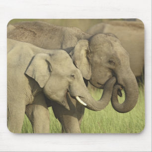 Indischer Asiatischer Elefant Mousepad