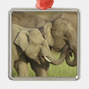 Indischer Asiatischer Elefant Ornament Aus Metall
