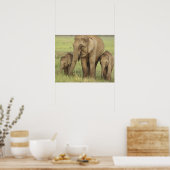 Indischer/asiatischer Elefant und junge Leute,Corb Poster (Küche)