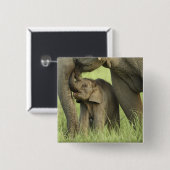 Indischer/asiatischer Elefant und junger Mann,Corb Button (Vorne & Hinten)