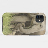 Indischer/asiatischer Elefant und junger Mann,Corb Case-Mate iPhone Hülle (Rückseite (Horizontal))