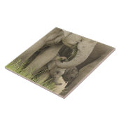 Indischer/asiatischer Elefant und junger Mann,Corb Fliese (Seite)