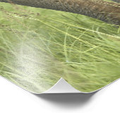 Indischer/asiatischer Elefant und junger Mann,Corb Fotodruck (Ecke)