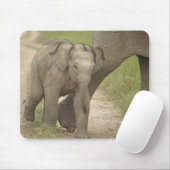 Indischer/asiatischer Elefant und junger Mann,Corb Mousepad (Mit Mouse)