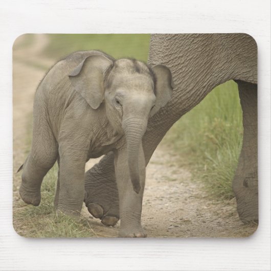 Indischer/asiatischer Elefant und junger Mann,Corb Mousepad (Vorne)