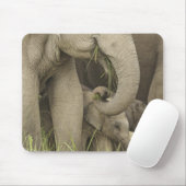 Indischer/asiatischer Elefant und junger Mann,Corb Mousepad (Mit Mouse)