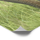 Indischer/asiatischer Elefant und junger Mann,Corb Poster (Ecke)