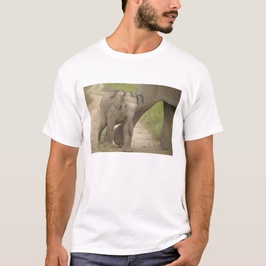 Indischer/asiatischer Elefant und junger Mann,Corb T-Shirt (Vorderseite)