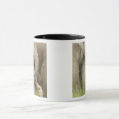 Indischer/asiatischer Elefant und junger Mann,Corb Tasse (Zentrum)