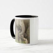 Indischer/asiatischer Elefant und junger Mann,Corb Tasse (Vorderseite Links)