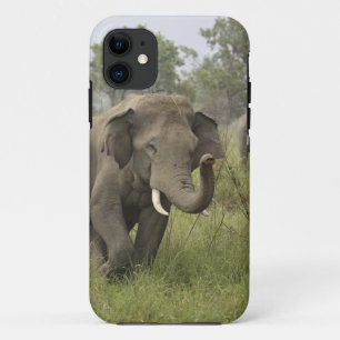 Indischer Asiatischer Elefantengruß Case-Mate iPhone Hülle